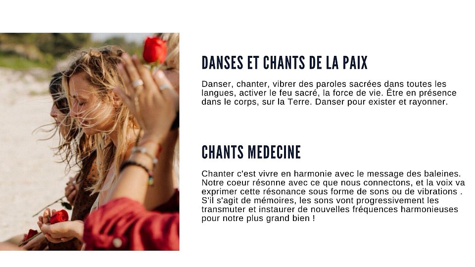 Les cétacés sentent ton cœur